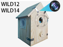 Garden bird box with WiFi Camera